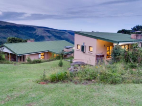 Drakensberg Vultures View